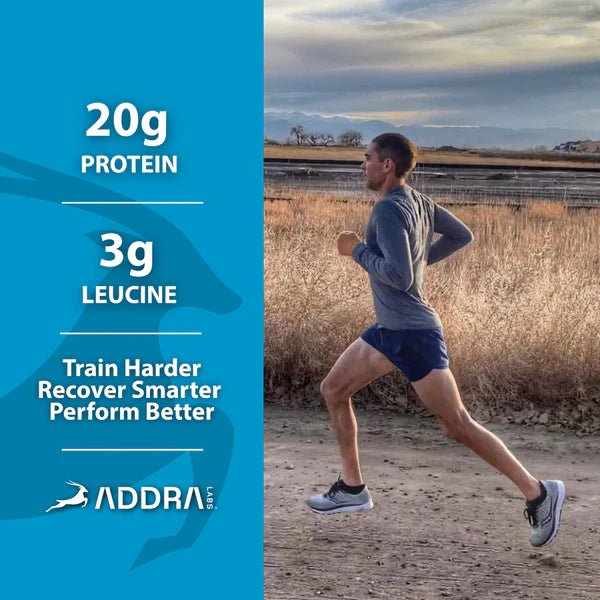 ADDRA Labs Leucine Boosted Protein Bars - Chocolate Chip Cookie Dough - Fuel Goods