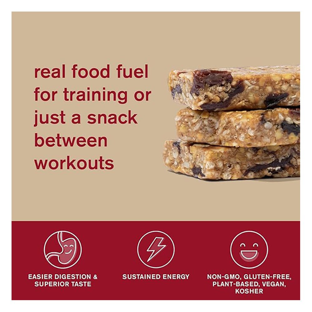 Skratch Labs Energy Bar - Peanut Butter + Chocolate - Fuel Goods