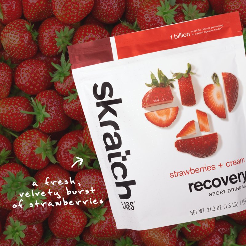 Skratch Labs Recovery Mix 12 serves - Strawberries + Cream - Fuel Goods